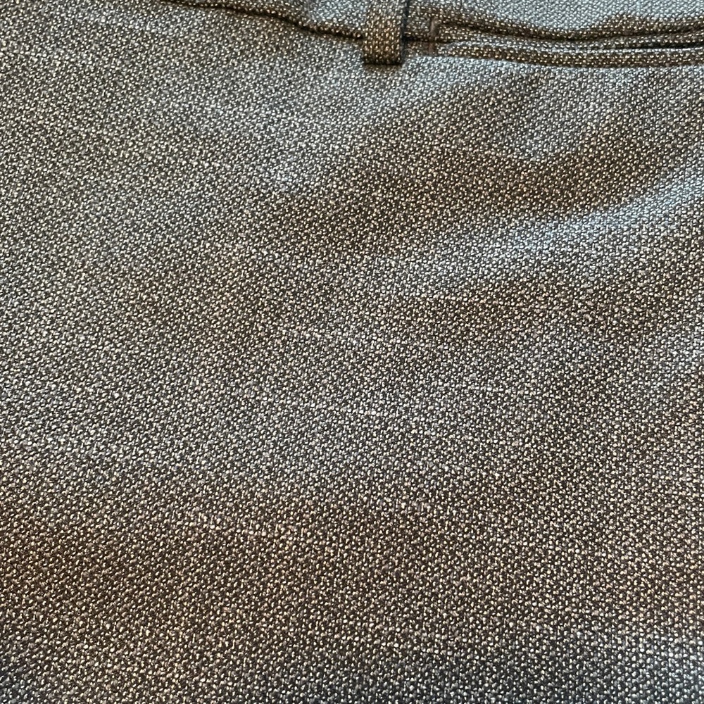 NWT Loft Julie Trouser